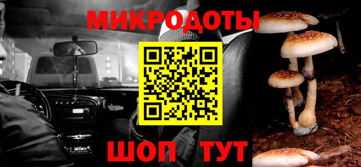 Псилоцибиновые грибы Psilocybine cubensis  Вход с VPN  Белгород 